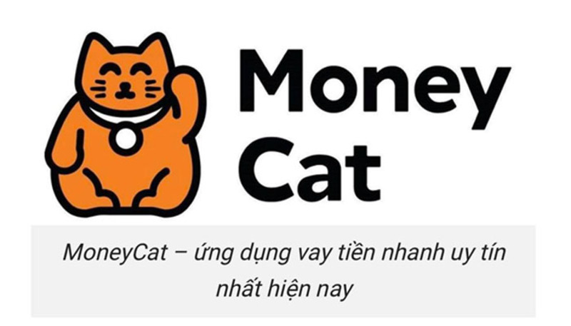App cho vay Money Cat 