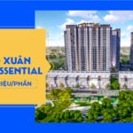 mo ban eco xuan