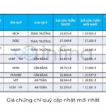 gia-chung-chi-quy-moi-nhat1