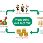 Quỹ mở là gì?
