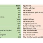 Bức tranh tài chính –bảng cân đối tài sản của bạn đang ở trong tình trạng như thế nào.