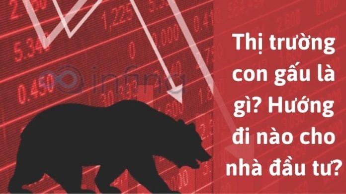 thị trường con gấu là gì