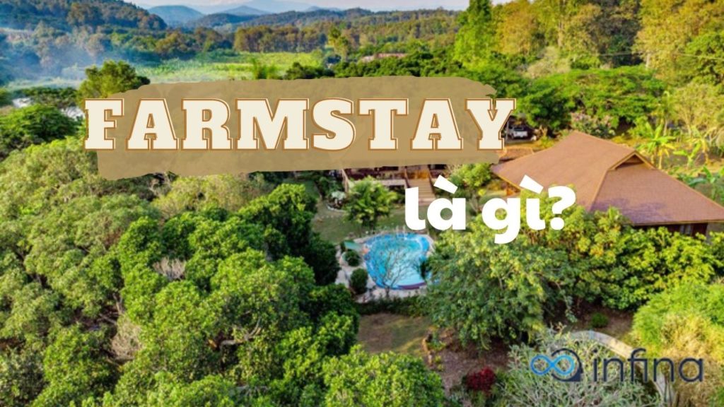 Mô hình Farmstay là gì? Những cơ hội và thách thức đầu tư loại hình này