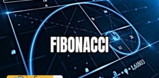 fibonacci là gì