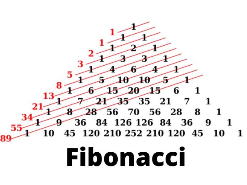 fibonacci là gì