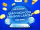 Hướng dẫn mở tài khoản chứng chỉ quỹ Dragon Capital tại Infina Hướng dẫn mở tài khoản chứng chỉ quỹ Dragon Capital tại Infina