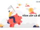 Tích lũy là gì? Sức mạnh của việc tích lũy trong tài chính cá nhân Tích lũy là gì? Sức mạnh của việc tích lũy trong tài chính cá nhân